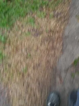 Background walking on a sidewalk with different elements in daylight Fotos Stock