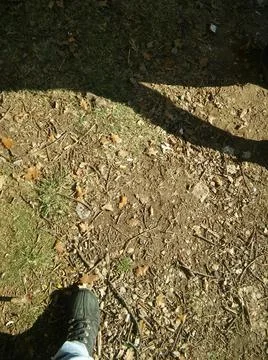 Background walking on a sidewalk with different elements in daylight Stock Photos