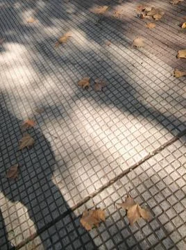 Background walking on a sidewalk with different elements in daylight Fotos Stock