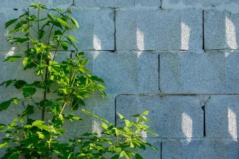Background, a wall of big grey brick blocks with a triangular ornament Stock Photos
