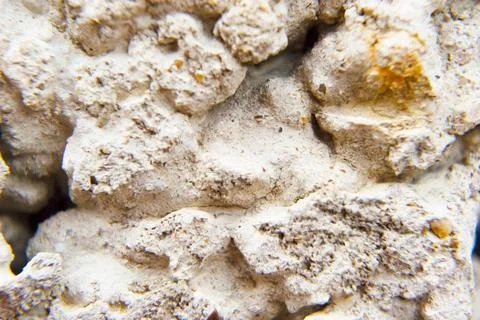 Background wall from close range. Stock Photos