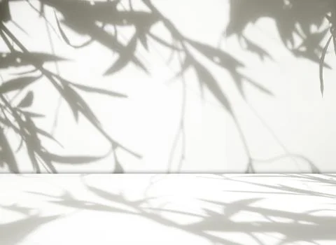 Background wall floor grey shadow leaf light kitchen abstract studio Stock Illustration
