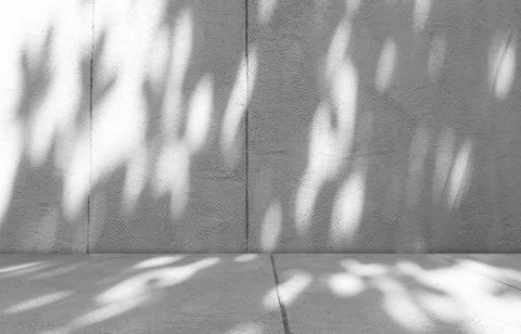 Background wall floor grey shadow leaf light kitchen abstract studio Stockfoto's