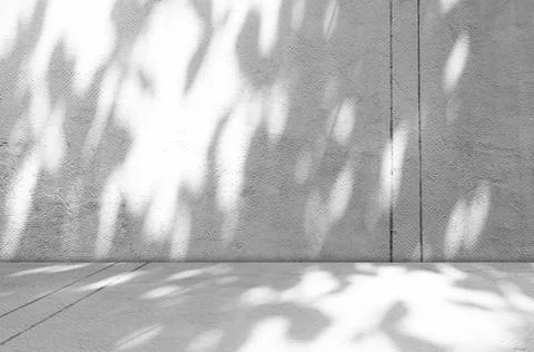 Background wall floor grey shadow leaf light kitchen abstract studio Stockfoto's