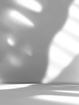 Background wall floor shadow grey leaf white light kitchen abstract イラスト素材