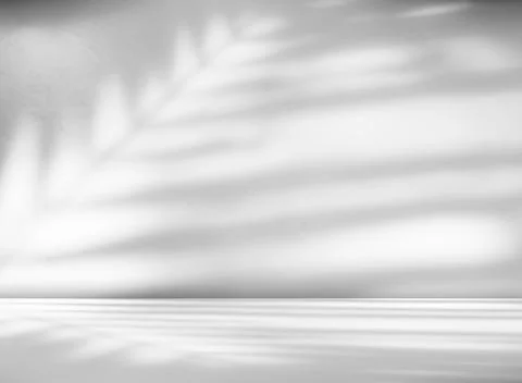 Background wall floor shadow grey leaf white light kitchen abstract イラスト素材