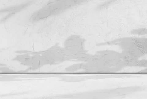 Background wall floor shadow grey leaf white light kitchen abstract Stock Illustration