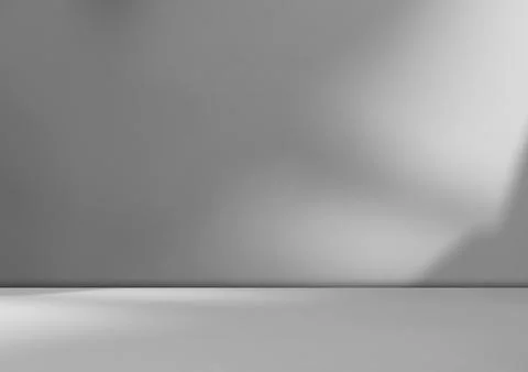 Background wall floor shadow grey leaf white light kitchen abstract studio Stock Photos