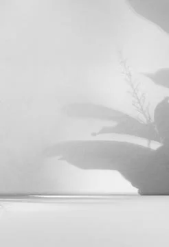 Background wall floor shadow grey leaf white light kitchen abstract Stock Photos