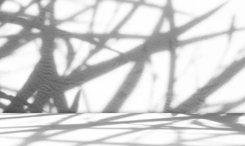 Background wall floor shadow grey leaf white light kitchen abstract 库存照片