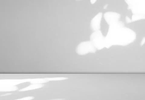 Background wall floor shadow grey leaf white light kitchen abstract Stock Photos