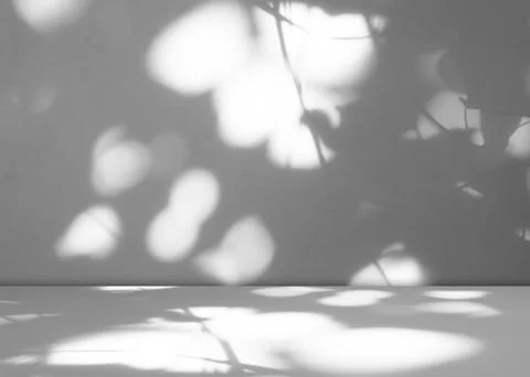 Background wall floor shadow grey leaf white light kitchen abstract Foto stock