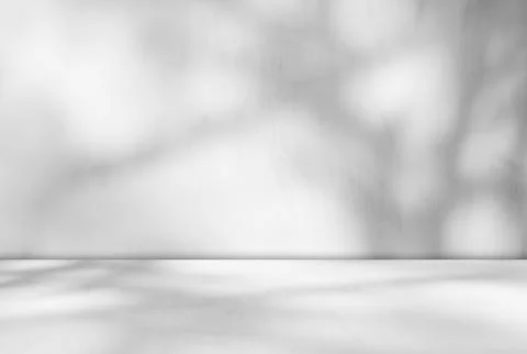 Background wall floor shadow grey leaf white light kitchen abstract Stock Photos
