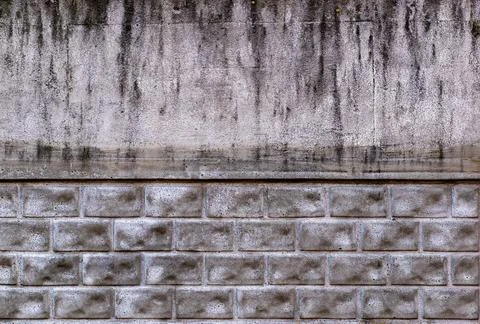 In the background is a wall of large stone blocks and smooth old concrete 스톡 사진