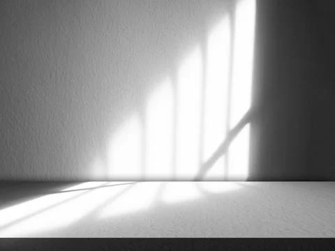 Background Wall Shadow Grey Leaf White Light Kitchen Abstract Studio Stock Photos