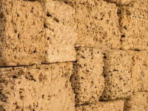 Background with wall from shell rock material Stock Photos