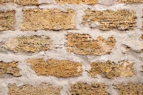 Background wall with shell rock. Old wall. Texture limestone. Stock Photos
