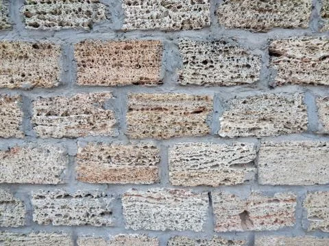 Background wall with shell rock. Old wall. Texture limestone. Texture Stock Photos