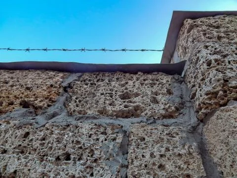 Background wall with shell rock. Old wall. Texture limestone. Texture Foto stock