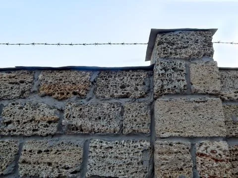 Background wall with shell rock. Old wall. Texture limestone. Texture 스톡 사진