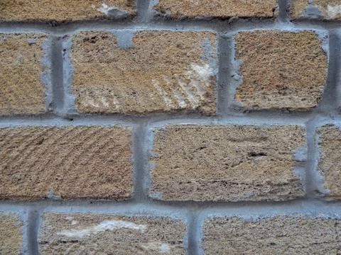 Background wall with shell rock. Old wall. Texture limestone. Texture Foto stock