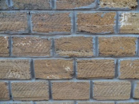 Background wall with shell rock. Old wall. Texture limestone. Texture Stock Photos
