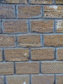 Background wall with shell rock. Old wall. Texture limestone. Texture Foto stock