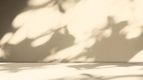 Background Wall Studio Shadow Kitchen Podium Table Product Backdrop Room Fotos Stock