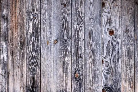 The background of the wall with the texture of boards painted with gray paint 스톡 사진