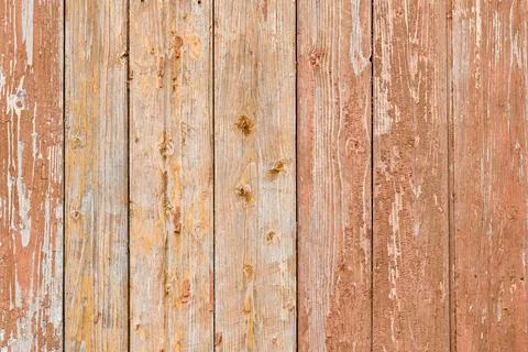 The background of the wall with the texture of boards painted with orange pai Fotos de archivo