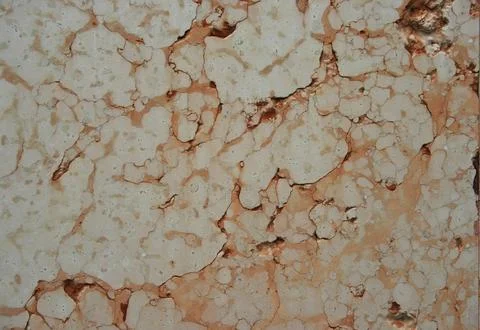 Background of wall texture Stock Photos