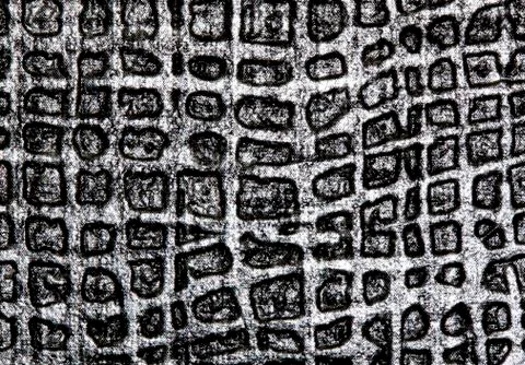 Background wallpaper Stock Photos