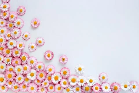Background Wallpaper, spring flowers Foto stock