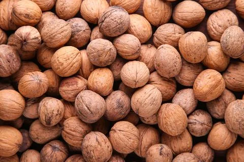 Background of walnuts close up. A full source of vegetable protein. Concept - Stock Photos