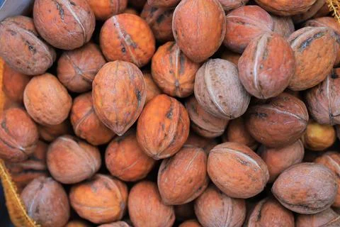 Background of walnuts on the market Stock Photos
