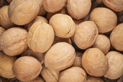 Background with walnuts in shell. Stock Photos
