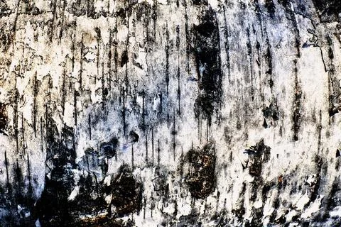 Background from warm black white birch bark Stock Photos