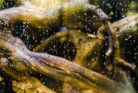 Background of water drops Stock Photos
