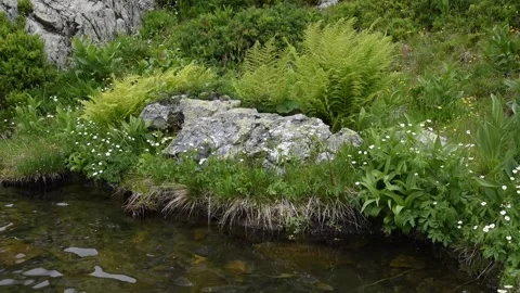 Background with water Stock Footage 137277561