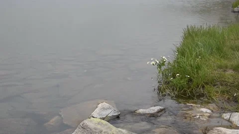 Background with water Stock Footage 137463875