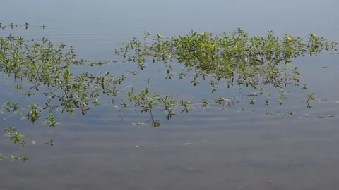 Background with water Stock Footage 139152918