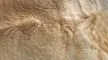 Background Water pollution foam,slow motion  HD 동영상