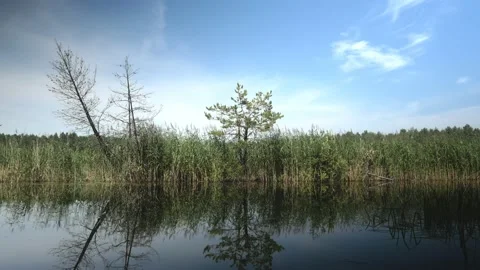 Background water sky tree reflection cloud wave Stock-Footage 144212644