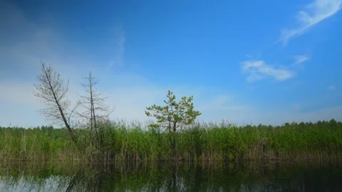 Background water sky tree reflection cloud wave green blue Stock-Footage 145369856