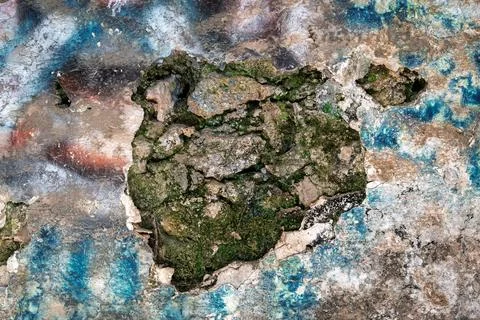 Background with Weathered Wall with Peeling Paint and Moss Stock Photos