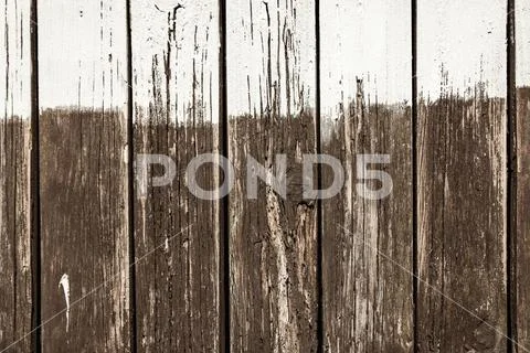 Background, weathered wooden fence with unfinished white painting Stock Photos