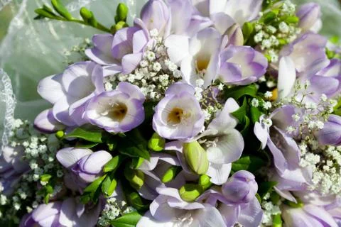 Background of the wedding bouquet Stock Photos