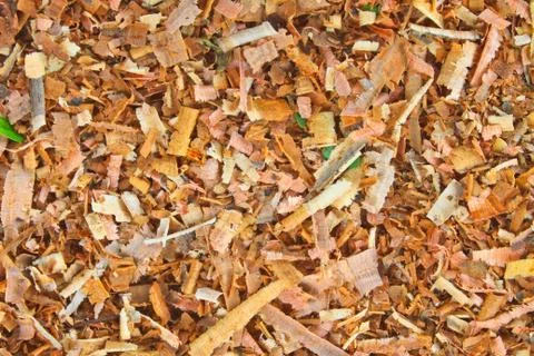 Background of wet sawdust Stock Photos