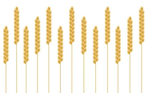 Background wheat cereal Stock Illustration