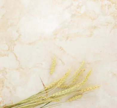 Background of wheat ears on a marble background Stock Photos